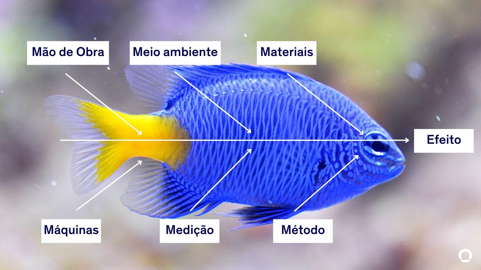 Entenda o que é e como criar o Diagrama de Ishikawa